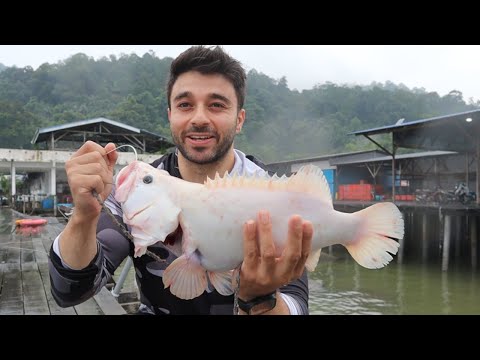 I’ve Never Caught THIS MANY Fish Before… Pangkor Island Is Unreal!