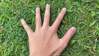 Touching grass