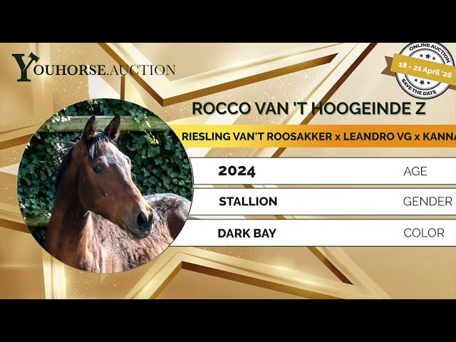 Rocco van 't Hoogeinde Z