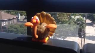 Summer&#39;s almost over