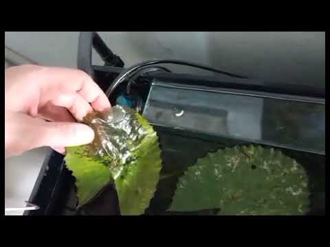 8.06.2023 - Was ist die Beste Lösung bei Stromabschaltung für ca 9 Stunden und länger