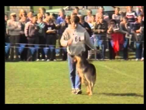 the Best of BSP 1982-1993.mp4