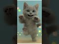 Cute Cat Dance I Am A Coconut Song Catdance Catsong Cutecat Coconut
