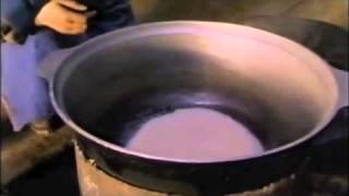 State Of Dogs - Trailer