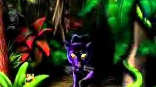 jungle Matteo Puccio