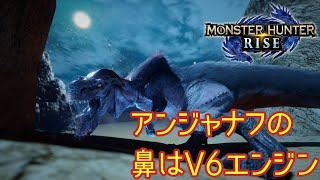 #15 【MHRise／Steam版】接待プレイをわきまえてるアンジャナフ（ゆっくり実況）