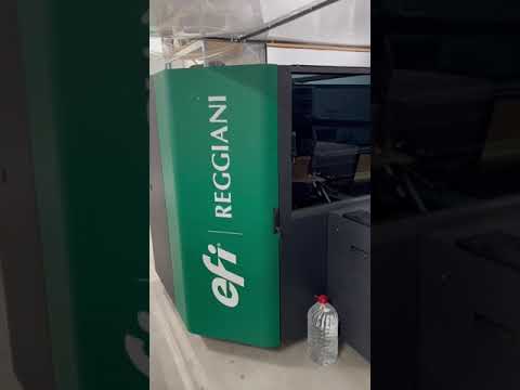 EFI Reggiani TERRA Silver Pigment INK P240404064