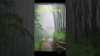 在這陰雨連綿的日子裡.與您共賞一首唯美的小提琴名曲.Secret Garden - Sometimes When It Rains（下雨時分）
