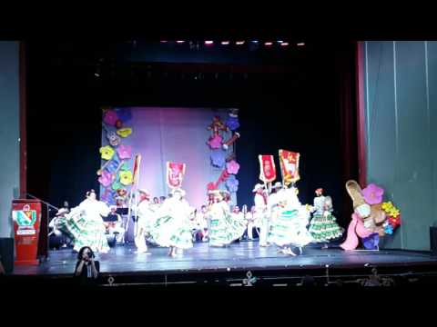 SON BAREKE COLOMBIA IBAGUE TOLIMA - COPLAS NATAGAIMUNAS DANZA LOS ESTANDARTES