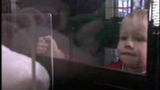 Audio Learning Center- Stereo