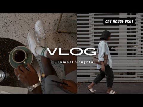 Visit Cat House - Visit us to meet our animals. Donate | Share | Volunteer