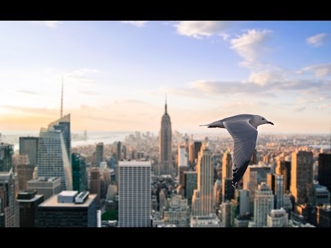 [HD] Acoustic Passion Episode 009 - Pure Melodic & Uplifting Trance in the Mix! ♫