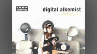 Digital Alkemist feat. Heather Brooks - Word Up (Audio)