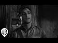 A Streetcar Named Desire 60th Anniversary Stanley Meets Blanche Warner Bros Entertainment