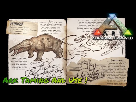 Ark Taming And Use - Phiomia