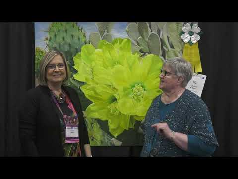 Andrea Brokenshire Wins 3rd Place in the Stationary Machine Quilted Category in Paducah