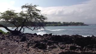 preview picture of video 'Long board surfing at Mauna Kea Beach, Hawaii island'