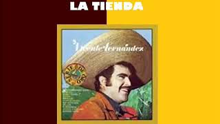 La tienda Vicente Fernández