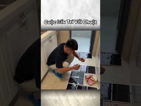 Cuộc Đấu Trí Với Vua Chuột