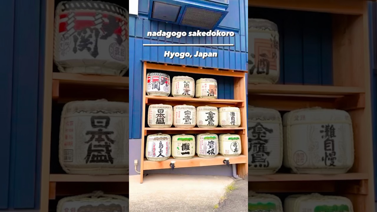 YouTube Short thumbnail