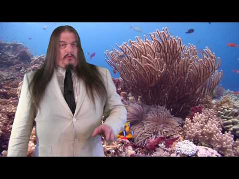 How Paleontology Disproves Noah's Flood