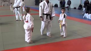 preview picture of video '2013-03-31 Compétition Judo - Villeparisis (Dénis PEDRO)'