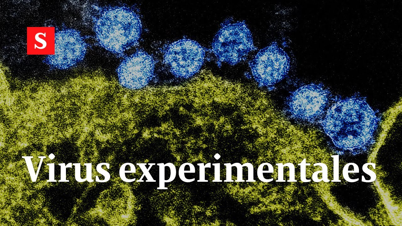 7 virus más mortíferos que el covid con los que la ciencia experimenta | Videos Semana