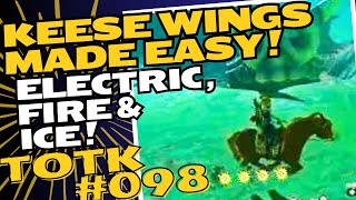 TotK098 Upgrade Climbing Armor Set: Fire, Ice & Electric Keese Wings & Swift Violet Farming Location