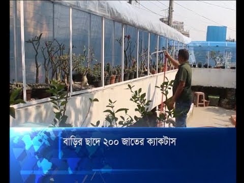 বাড়ির ছাদে ২০০ জাতের ক্যাকটাস