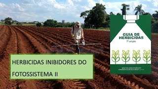 MECANISMO DE AÇÃO: FSII