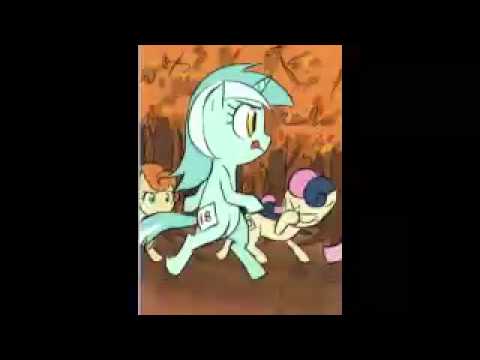 The Running Of Lyra 13th Okt 2012