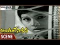Anthuleni Katha Movie Jayalaxmi Emotional About Pradeep Kumar Rajinikanth Shalimarcinema
