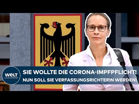 WAHL DER BUNDESVERFASSUNGSRICHTER: Das sind die Kandidaten! SPD-Vorschlag schon jetzt in der Kritik!