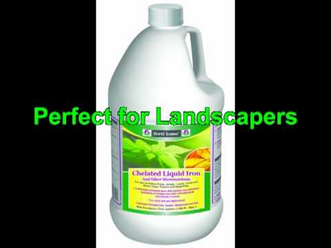 fertilome lawn food plus iron