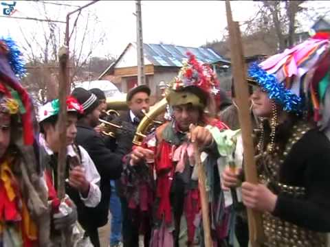 Capra de la Satu Nou 1 ianuarie 2014