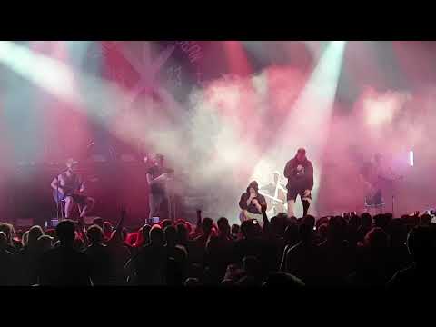 Swiss und Ferris sind Phönix aus der Klapse - Kleiner Kopf Live 2019 Hamburg