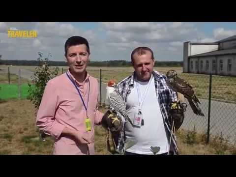 AIRPORT: A falcon, a hawk, an owl, and... a dog at the airport. At work | Episode 2 preview.