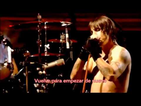 Red Hot Chili Peppers - Venice Queen (Sub español)