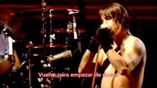 Red Hot Chili Peppers - Venice Queen (Sub español)