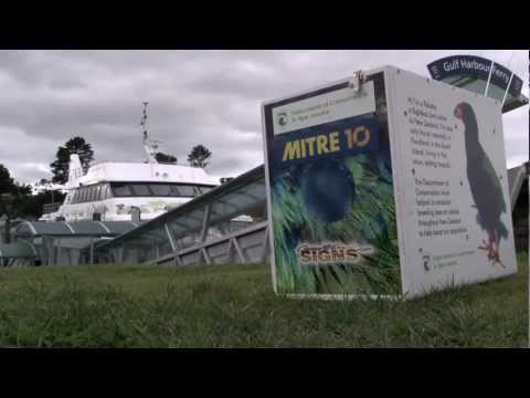 Marty and the Takahe