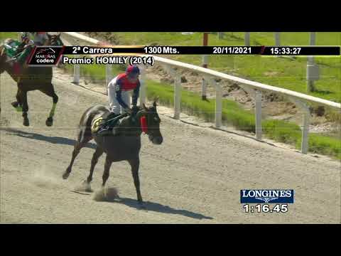 211120 c02 BLUE CARD (BRZ)