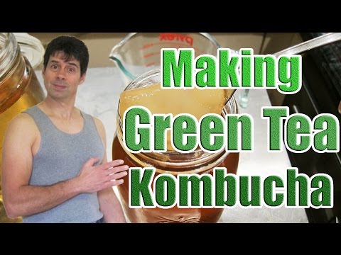 Kombucha Recipe with Green Tea (Making a Kombucha Tea Recipe Using Green Tea Bags)