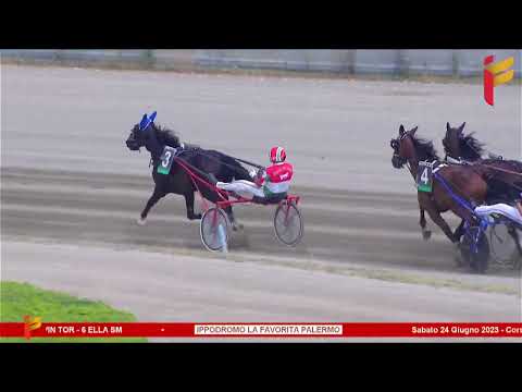 I Corsa del 24 Giugno 2023 - 3 Anni - Metri 2000