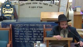 הרב אברהם זרביב | מעלת השמחה | יזדים (בית הכנסת מוסאיוף) - התמונה מוצגת ישירות מתוך אתר האינטרנט יוטיוב. זכויות היוצרים בתמונה שייכות ליוצרה. קישור קרדיט למקור התוכן נמצא בתוך דף הסרטון