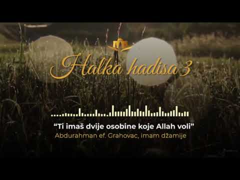 Halka 3 》Ti imaš dvije osobine koje Allah voli..