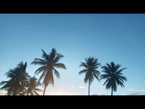 Blad P2A(2021)chaghi gaua ft sisiva x young davie solomon music