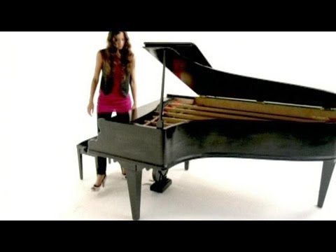 Pauline - Allo Le Monde