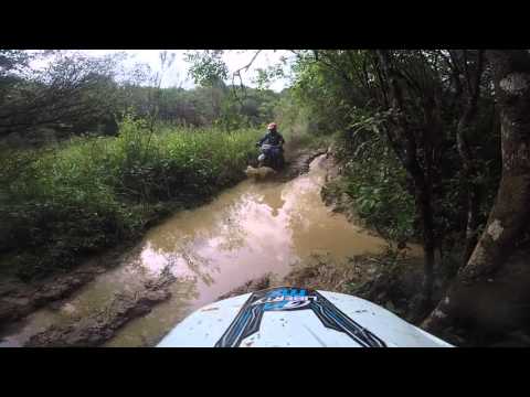 trilha de palmeira parana