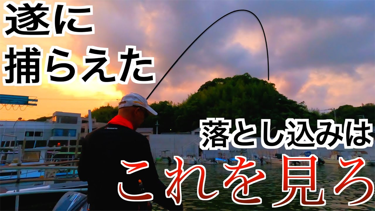 初心者🔰必見‼完璧に捉えた目印アタリ。