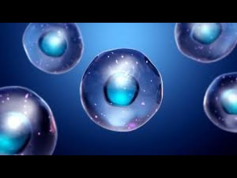 VISUALISATION " Dialogue avec les Cellules " Lutter contre les Maladies  Guy Corneau Pierre Lessard